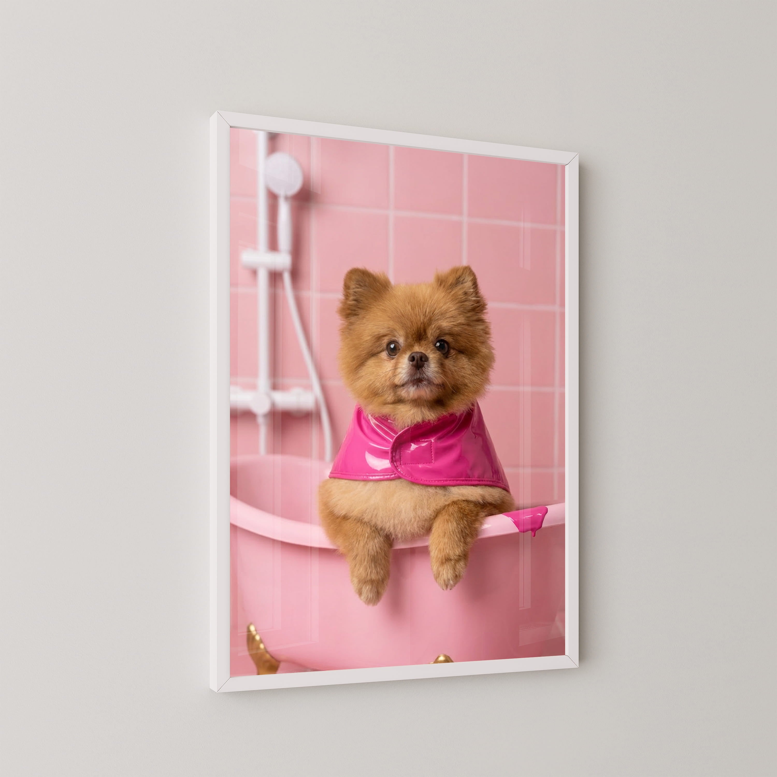 Pampered Paws Framed Print