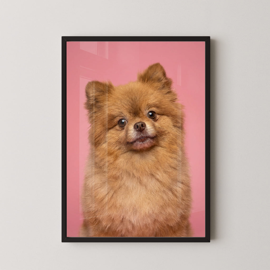 Pretty in Pink Paws Framed Print
