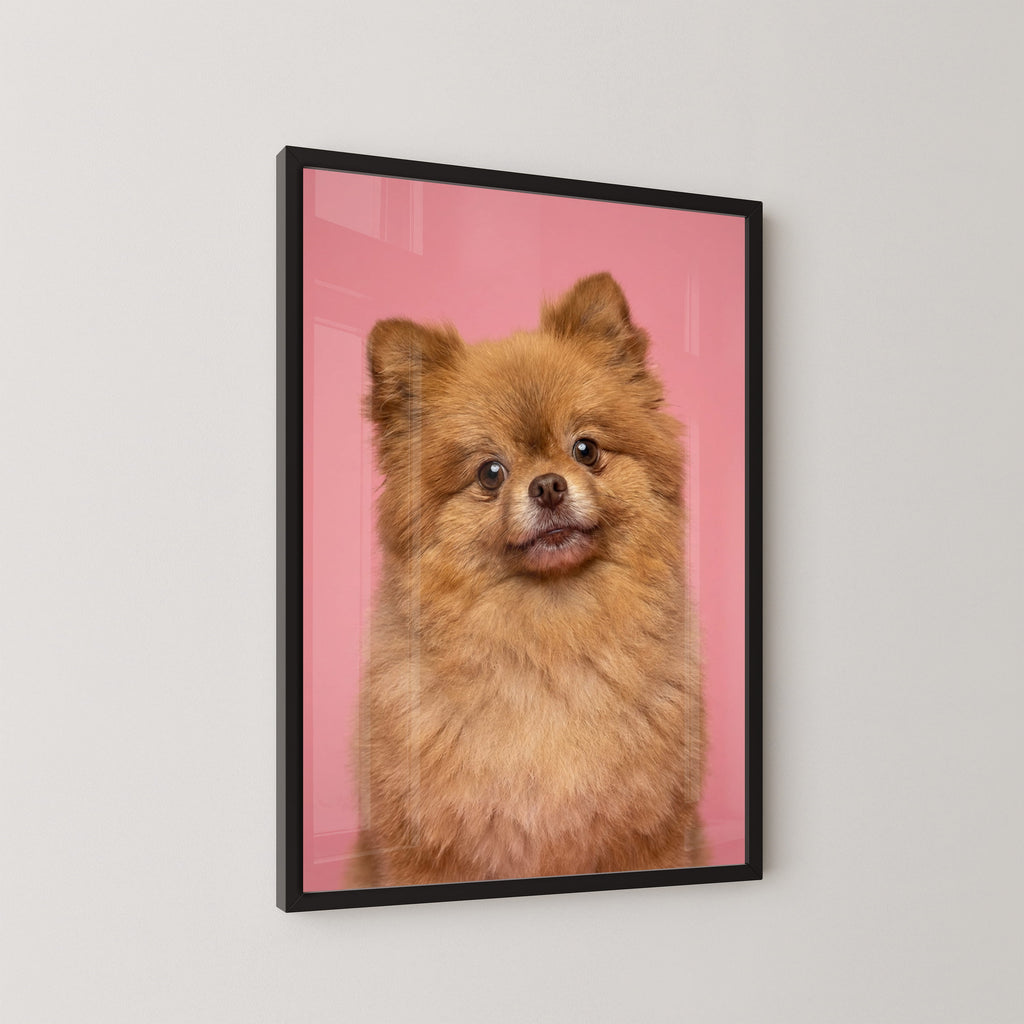 Pretty in Pink Paws Framed Print