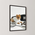Game Set Paws Framed Print